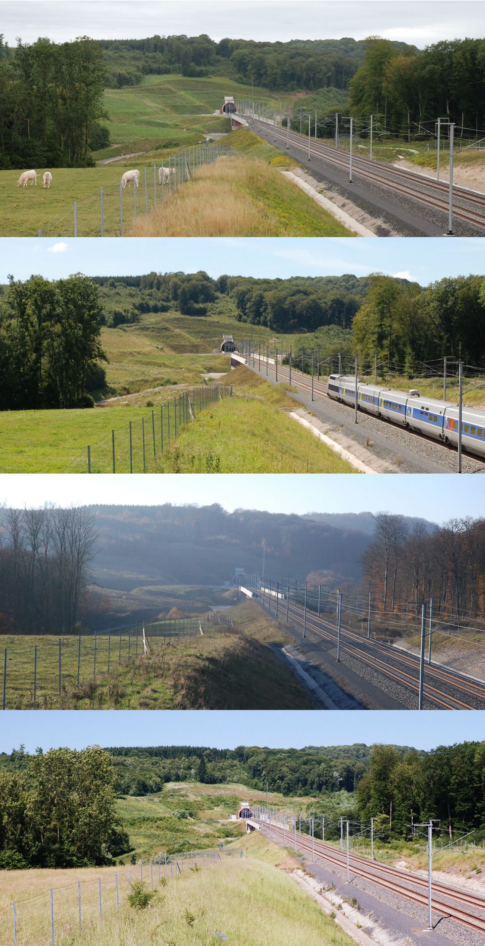 lgvrr-site13vue2_assemble_-web-5d26f5361e919fa1ab0d00ba24d3a40d