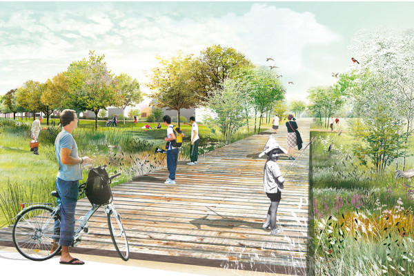 &Eacute;co-quartier dans le Ried alsacien