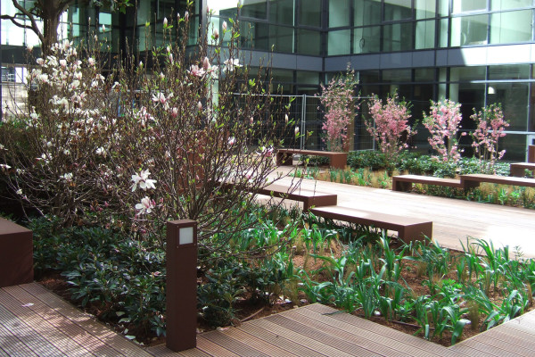 Patios et entrée d'un immeuble de bureaux