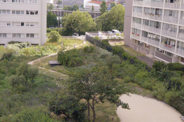 Jardin m&eacute;diterran&eacute;en sur dalle