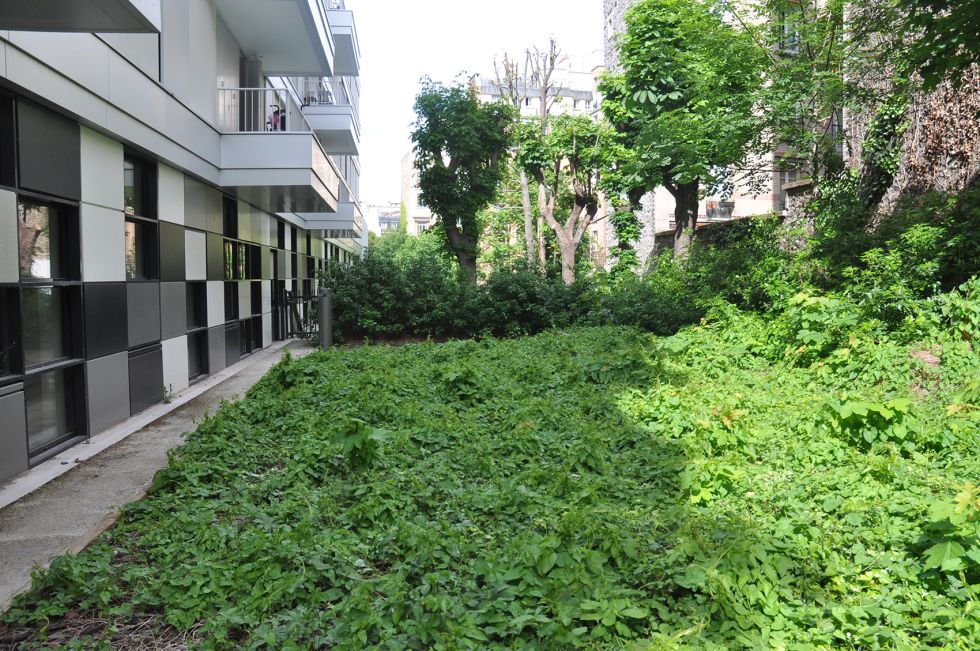 elih7mai2020_4299_web.jpg