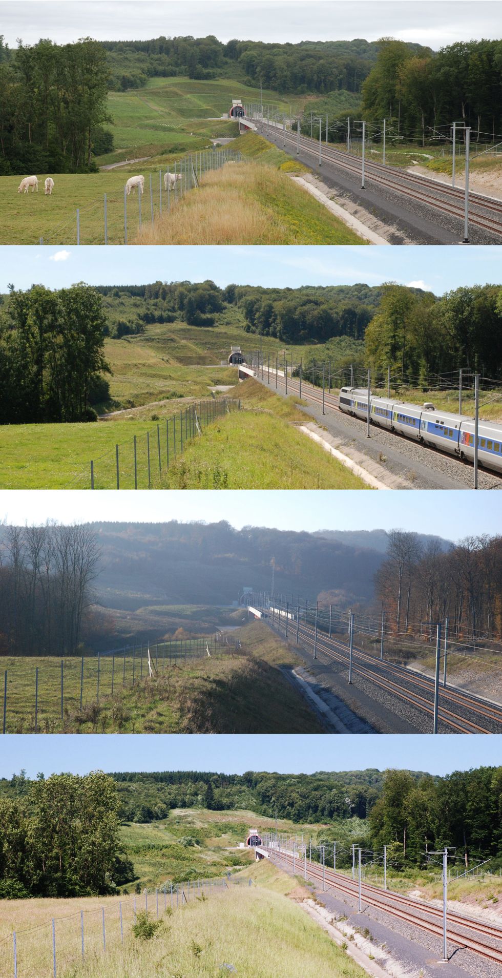 lgvrr-site13vue2_assemble_-web-23e9112ca7ab2939892e4042995da3aa