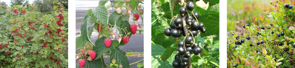 test2_web-1dad20dbc00046fcf6e53f3e0916ea1e